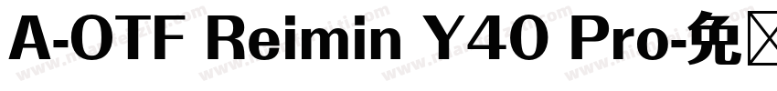 A-OTF Reimin Y40 Pro字体转换